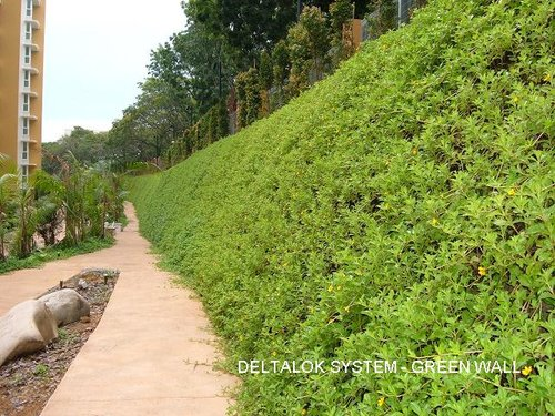 Green Roofs for Healthy Cities image 10