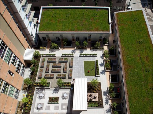 Green Roofs for Healthy Cities image 3
