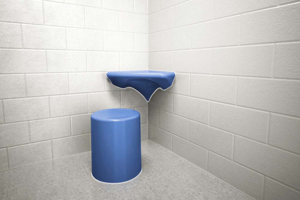 Max-Secure Systems, Inc. image 4