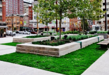 Sempergreen image 12