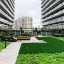 Sempergreen image 21
