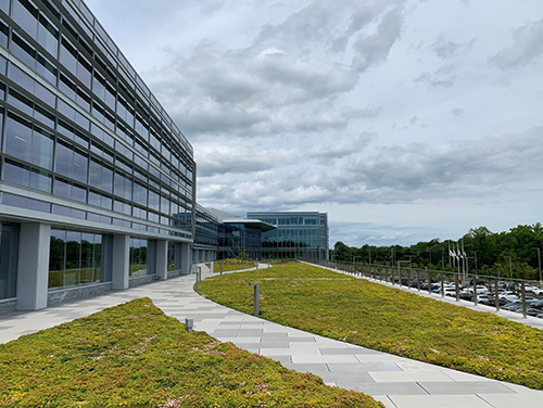 Sempergreen image 13