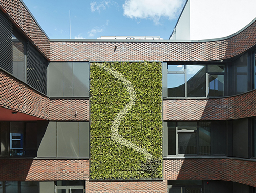 Sempergreen image 15