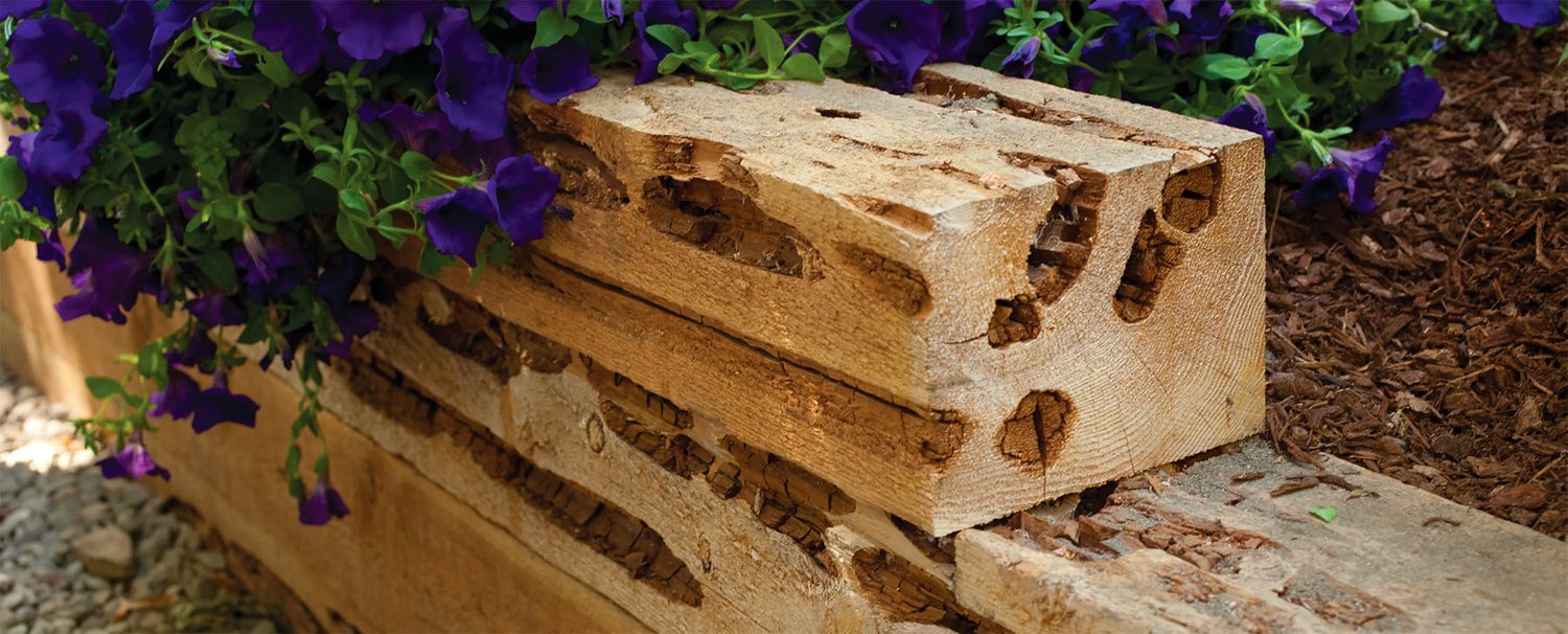 C&D Lumber image 2