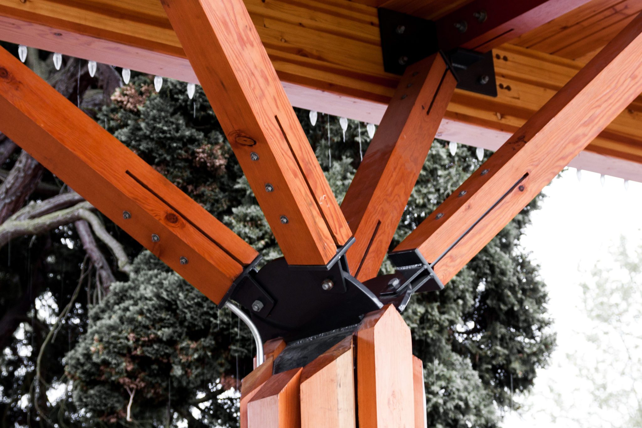 American Pole And Timber image 8
