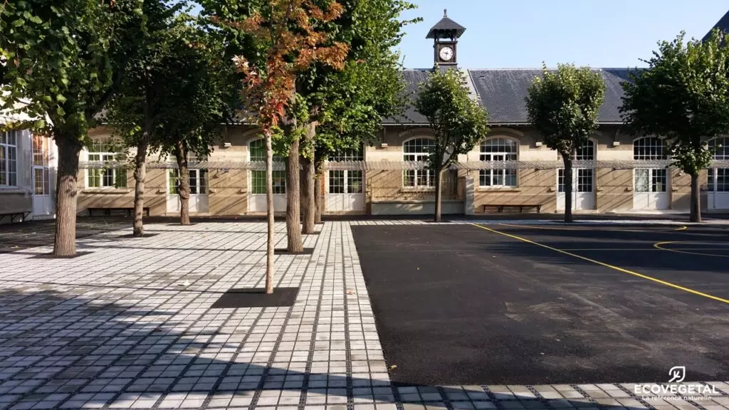 Ecoraster image 10
