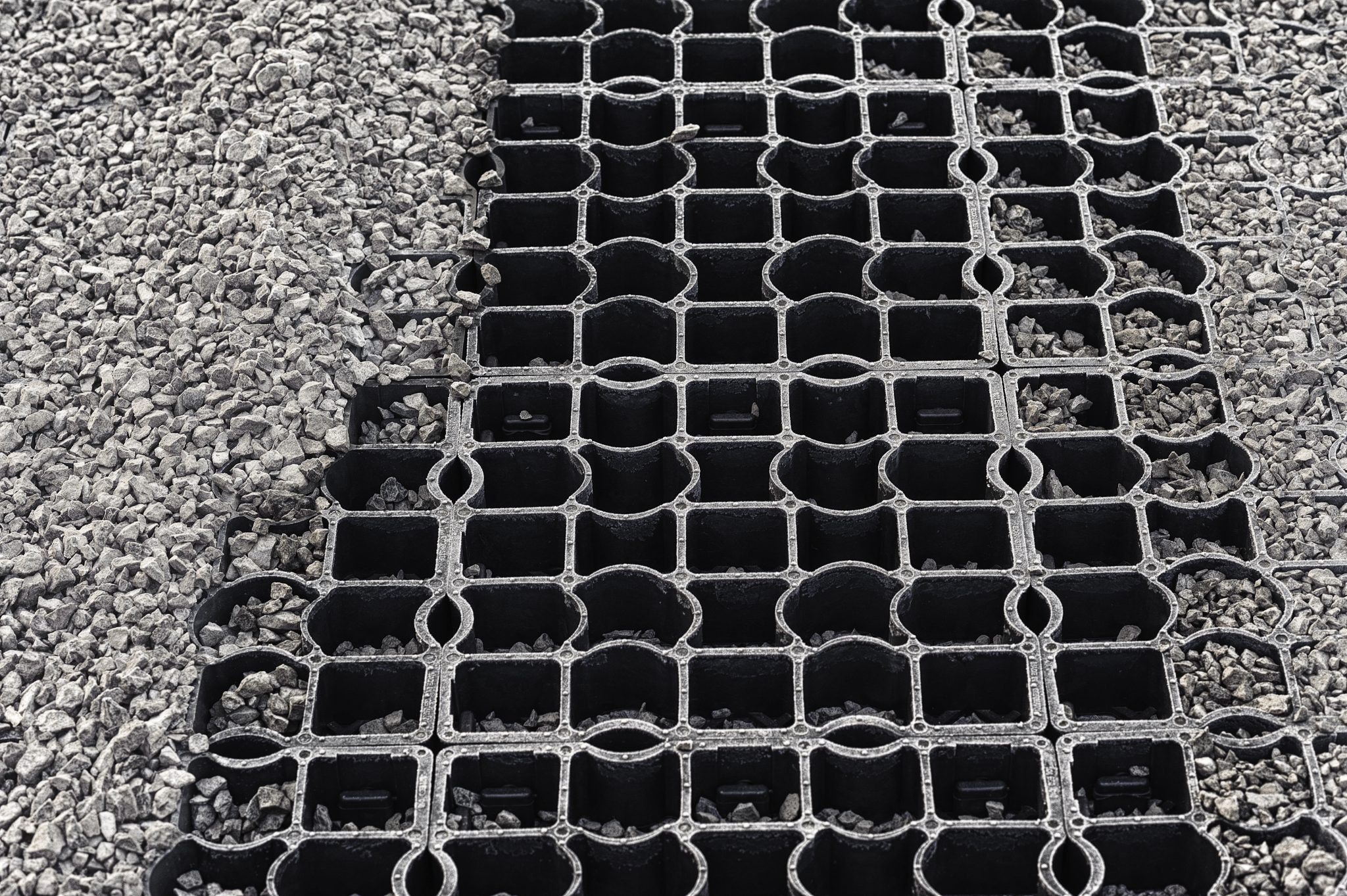 Ecoraster image 6