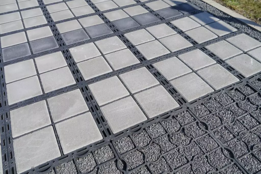 Ecoraster image 2