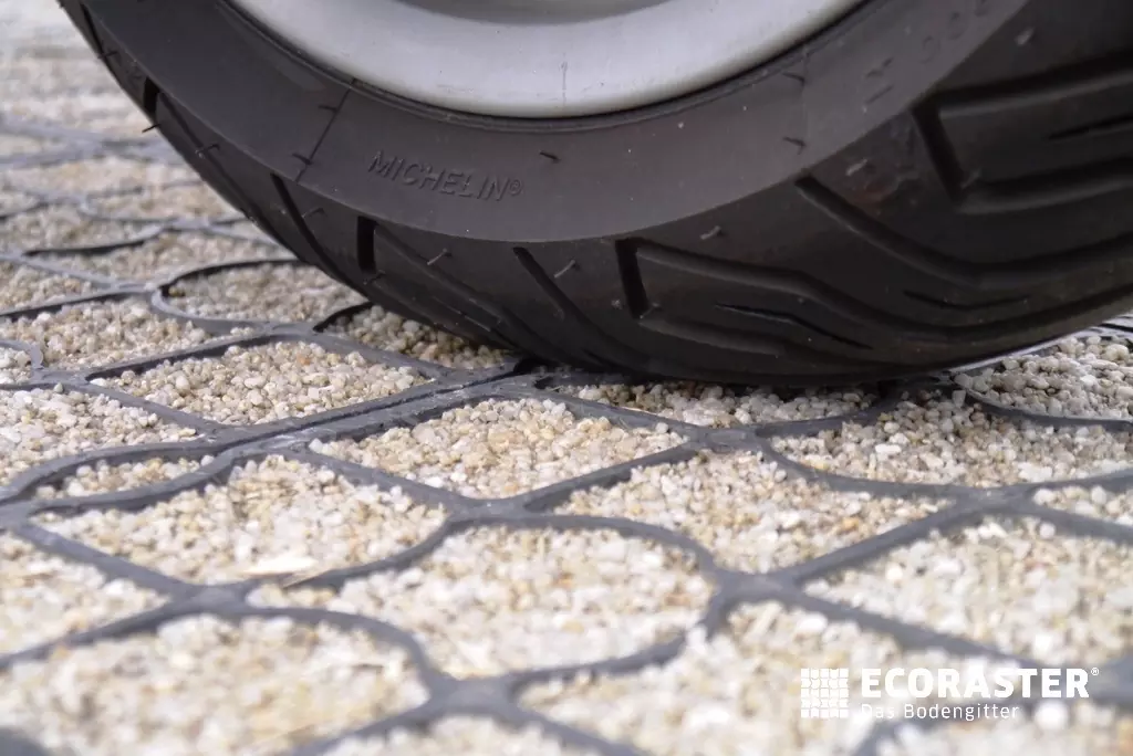 Ecoraster image 7