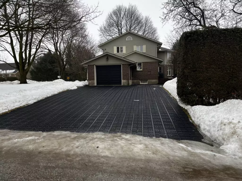 Ecoraster image 9