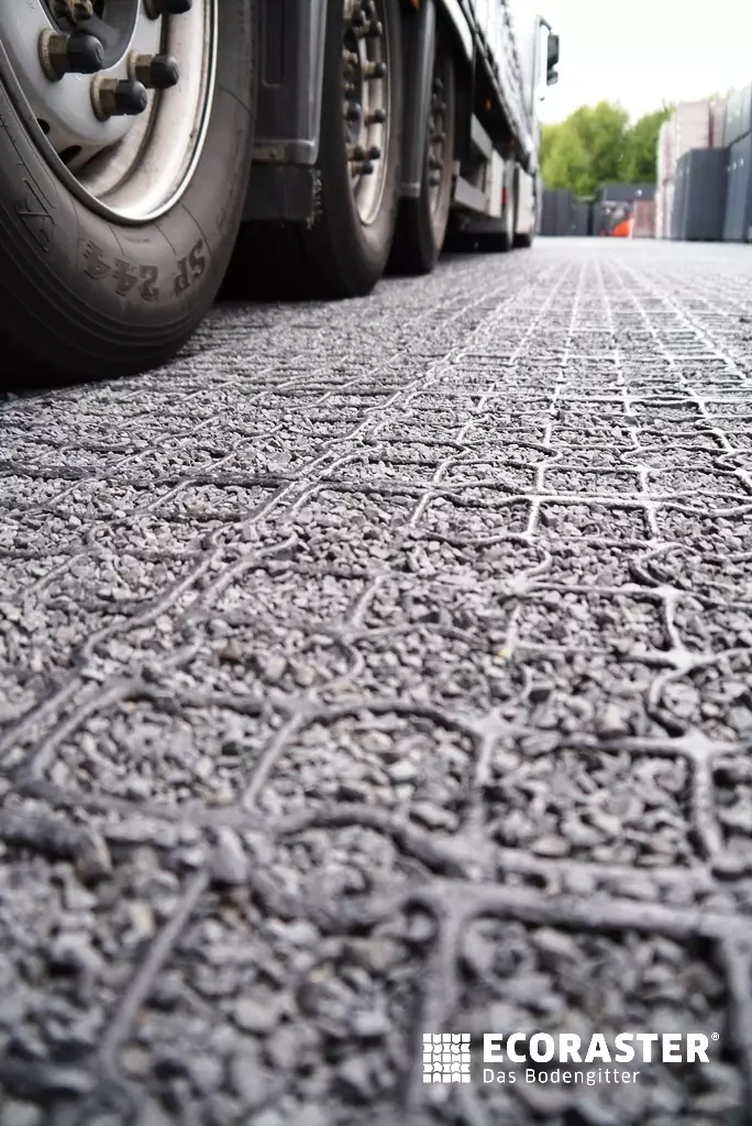 Ecoraster image 3