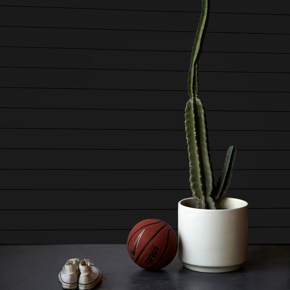 Timeline Products, Inc. image 30