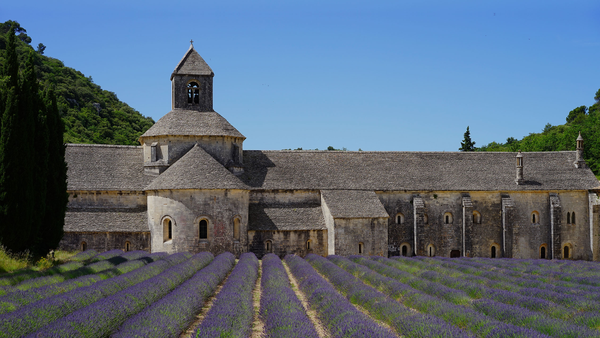 Authentic Provence image 5