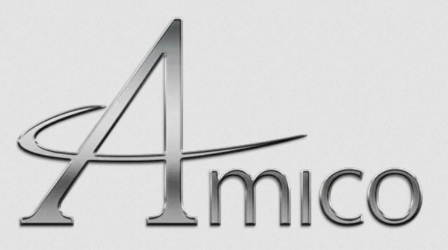Amico Corporation logo