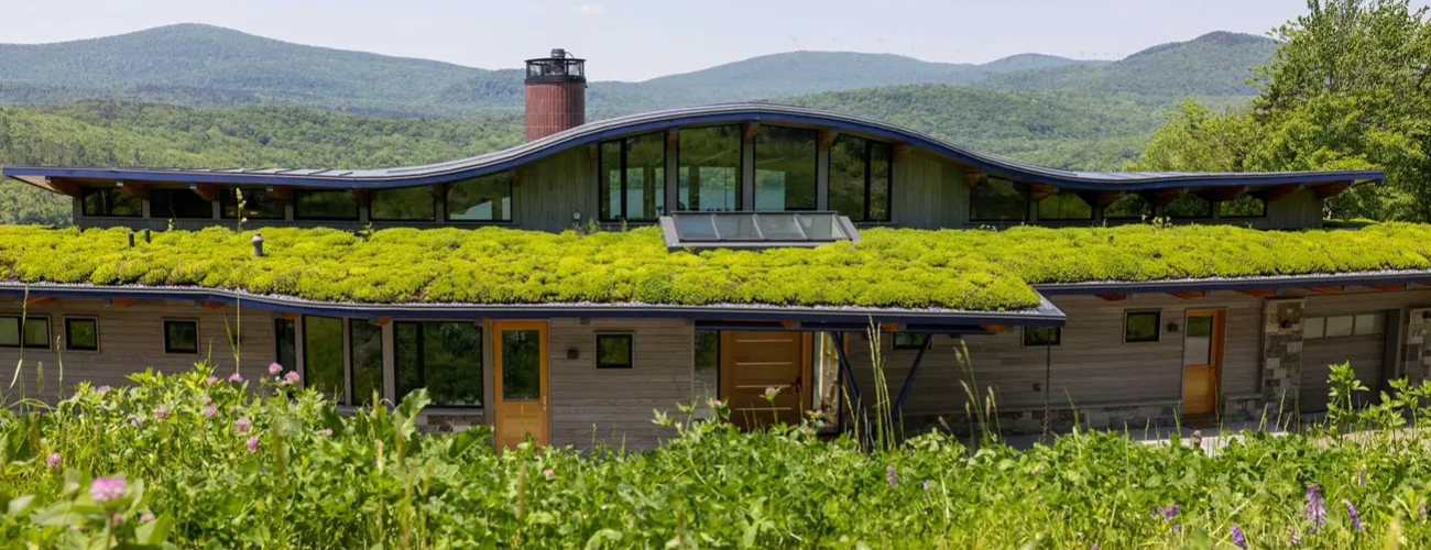 Apex Green Roofs