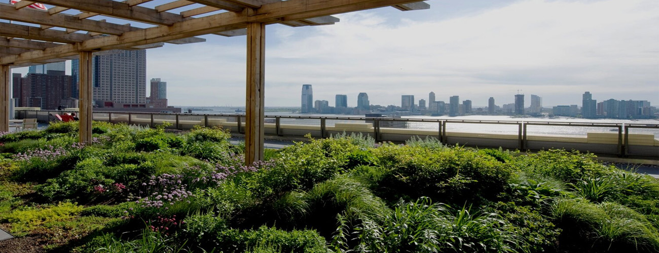 Green Roofs for Healthy Cities