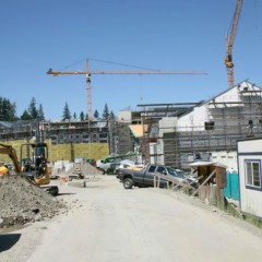 Steeler Inc. image 6