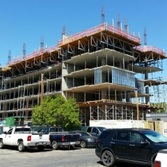 Steeler Inc. image 17