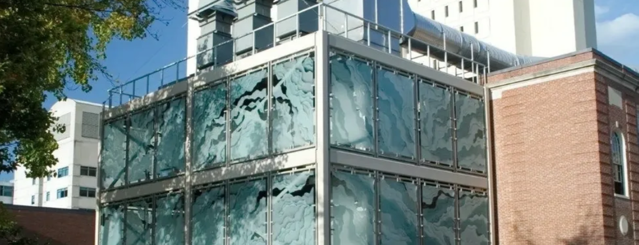 Fox Fire Glass