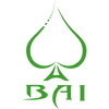 BAI logo
