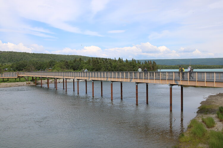 Renew Plastics Decking image 1