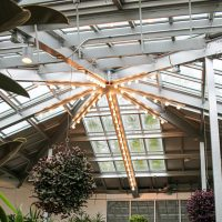 Sunshine Rooms image 1