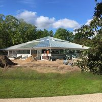 Sunshine Rooms image 7
