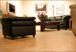BASEMENT SYSTEMS INC image 4