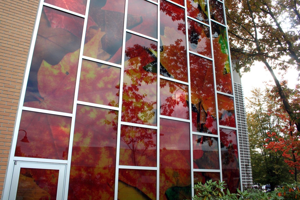 Phoenix Glass Inc. image 10