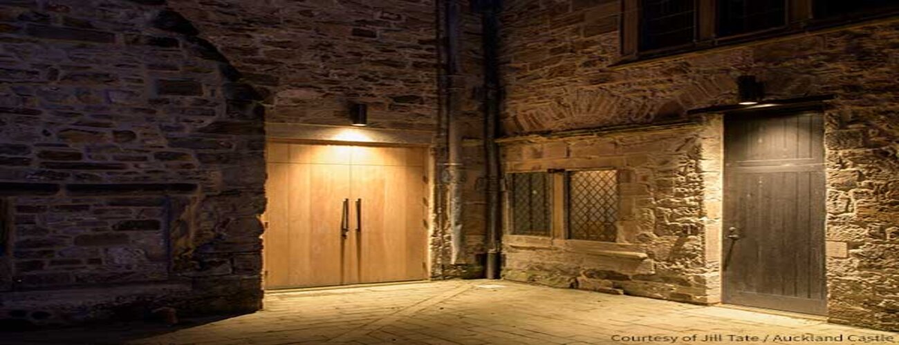 Fiberoptic Lighting, Inc.