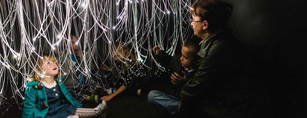 Fiberoptic Lighting, Inc. image 23