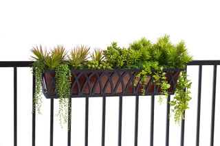 Hooks and Lattice image 1