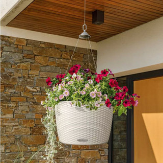 Hooks and Lattice image 8