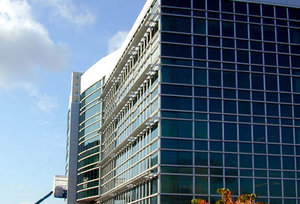 Ting Wall Inc. image 4
