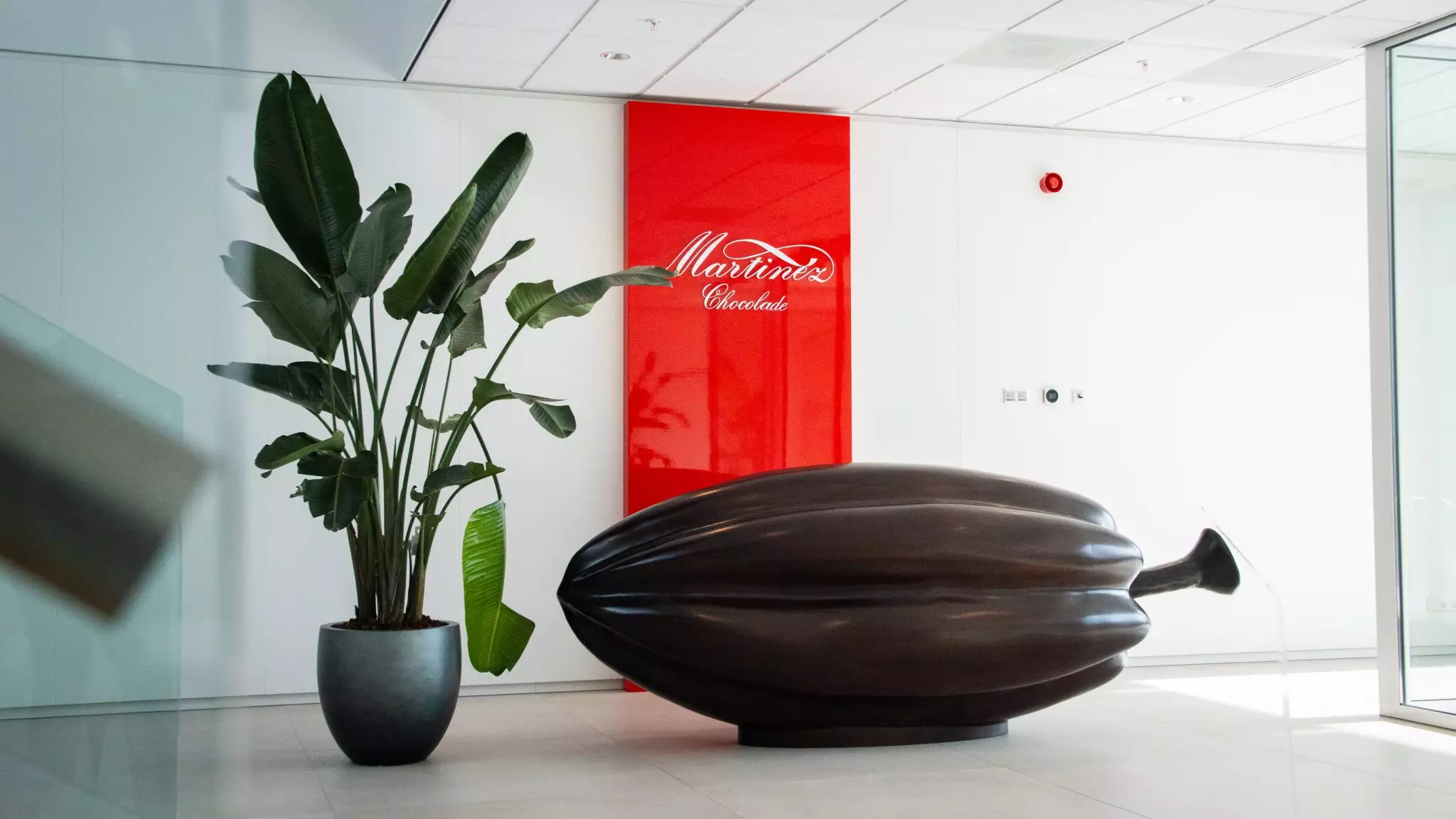 Maars US Inc. image 2