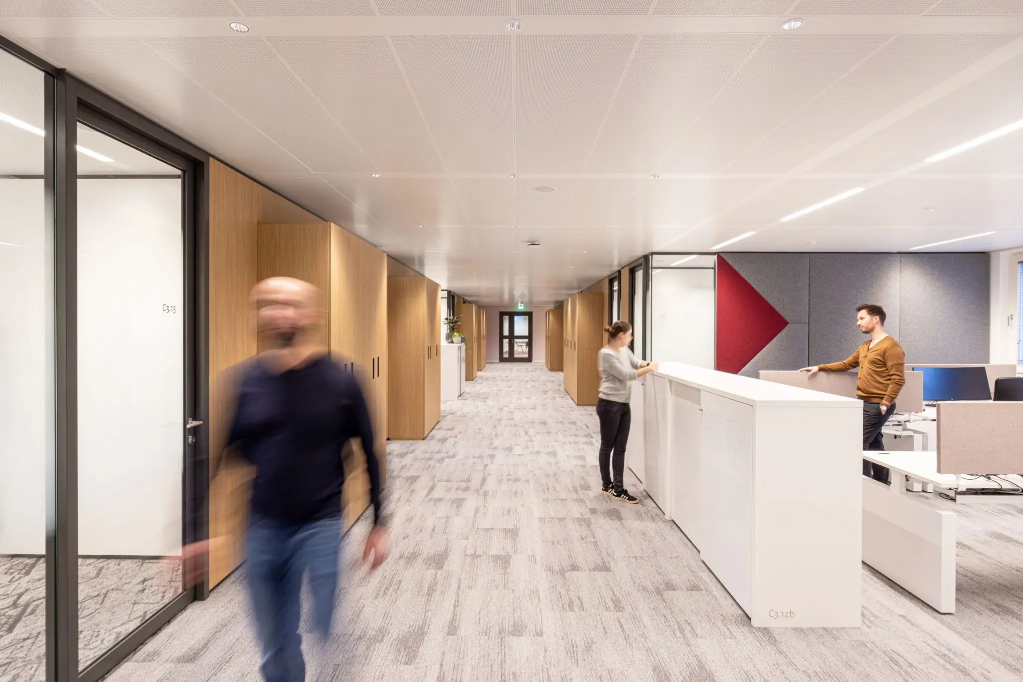 Maars US Inc. image 5