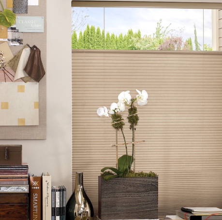 Sunburst Shutters image 1