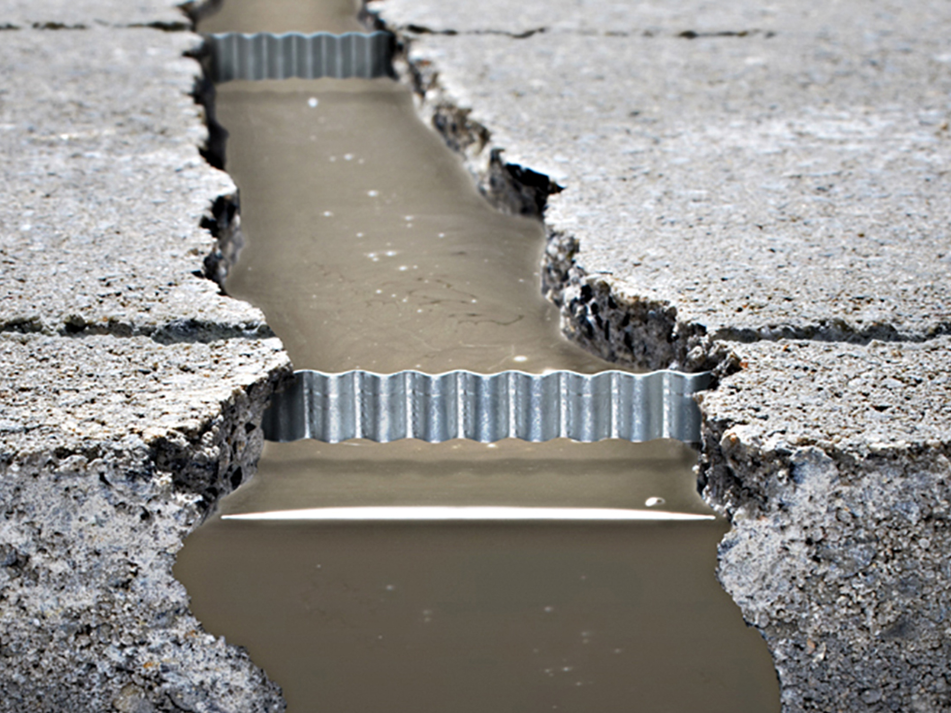 Ardex, Inc. image 6