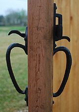Coastal Bronze image 15