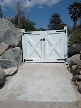 Coastal Bronze image 12