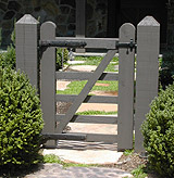 Coastal Bronze image 20