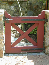 Coastal Bronze image 11