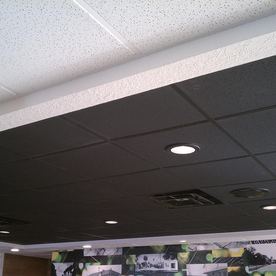 Genesis Ceilings image 11