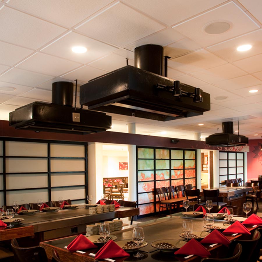 Genesis Ceilings image 7