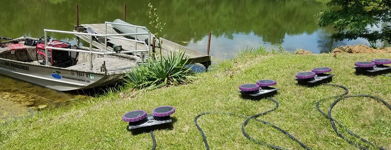 Vertex Aquatic Solutions