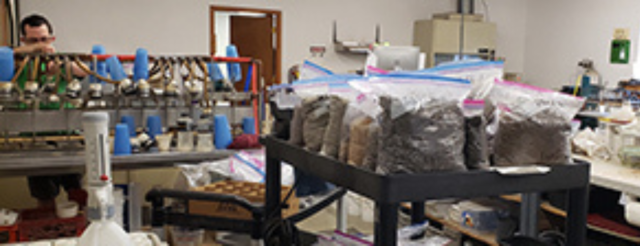 Turf Diagnostics & Design