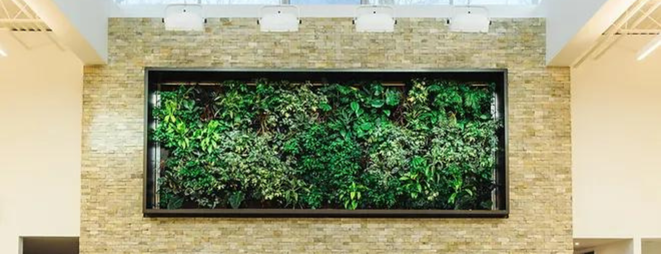 Nedlaw Living Walls
