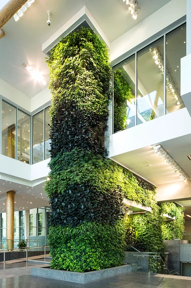 Nedlaw Living Walls image 15