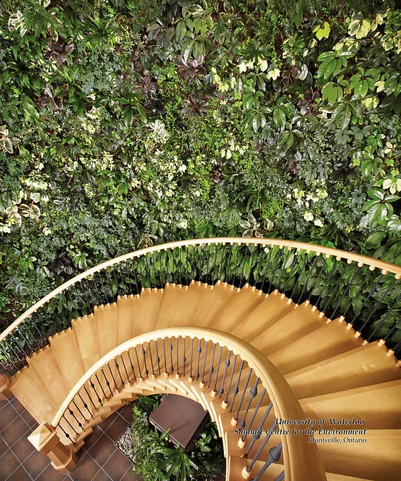 Nedlaw Living Walls image 4