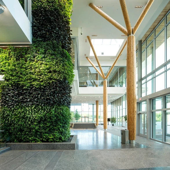 Nedlaw Living Walls image 12